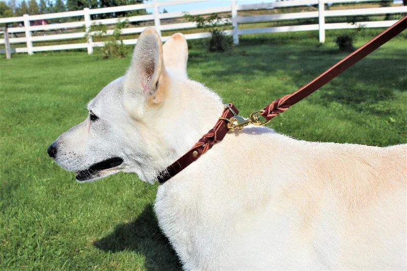 Dual-sided pet brush-Latigo Leather Leashes 30"