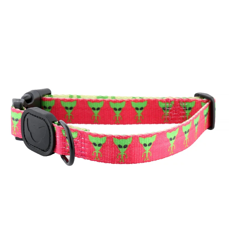 Ventilated cat travel bag-Doggieliens Premium Dog Collar