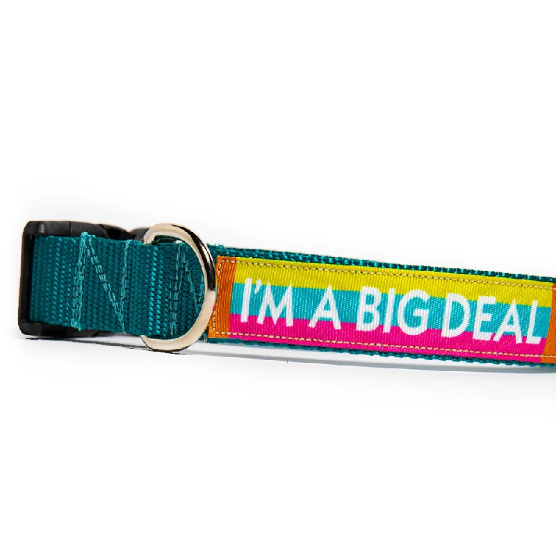 Padded pet adventure pack-I'm A Big Deal Dog Collar