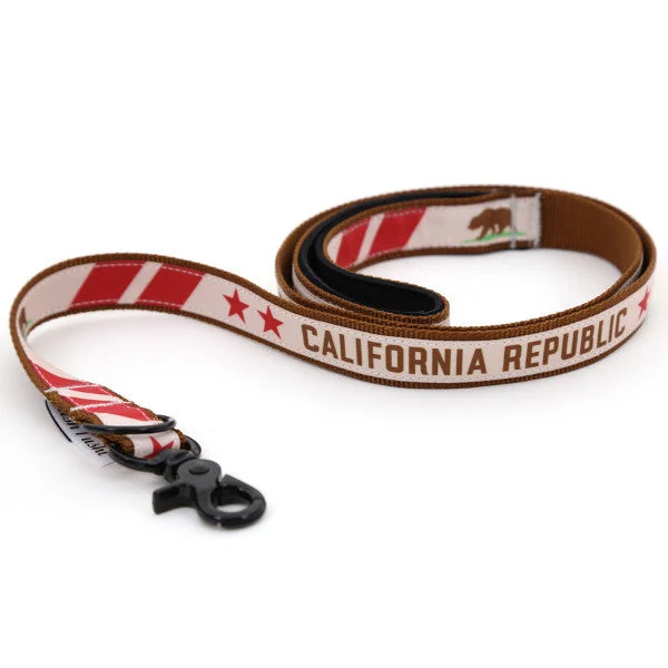 Portable pet exercise pen-California Flag Dog Leash