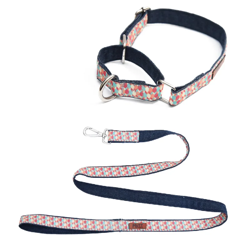 Fleece-lined puppy mat-Candy Barr Martingale Denim Collar + Leash Set