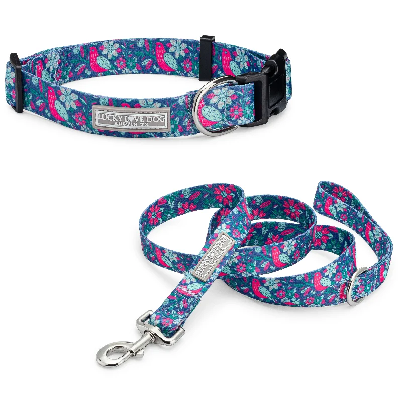 Recycled pet food spoon-Carriebelle Dog Collar