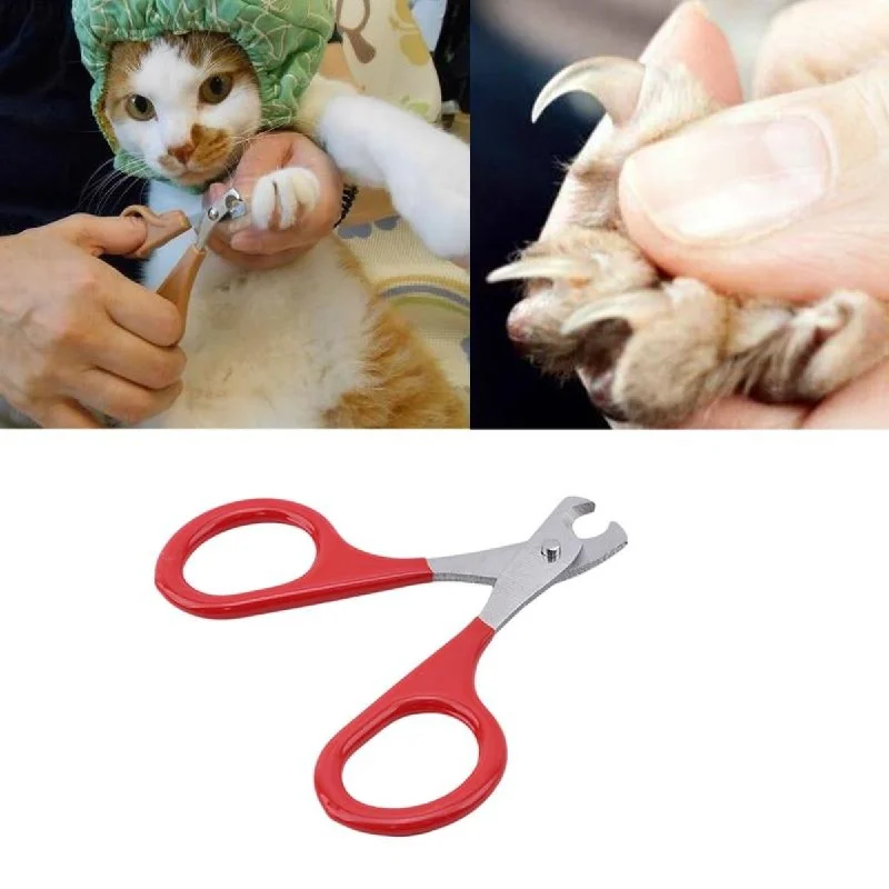 Rolling dog treat ball-Stainless Steel Cat Nails Scissors 3 PCS Set