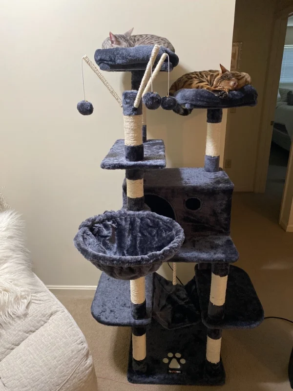 Herbal pet ear wash-Cat Tree, Large Cat Tower, 646 Inches