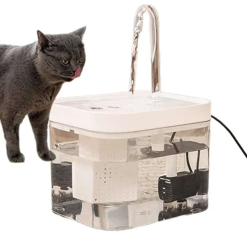 Portable cat litter box-Cat Water Fountain Bowl Transparent