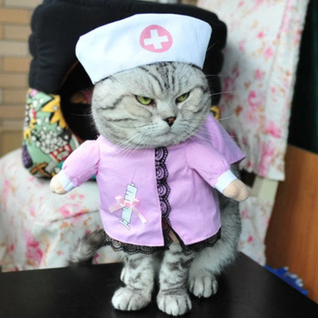 Cat Clothes 9