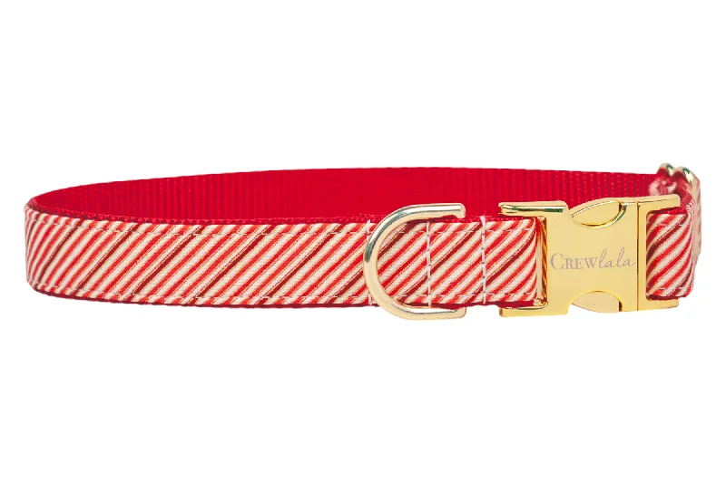 Carbon-filter pet fountain-Cinnamon Stripe Dog Collar