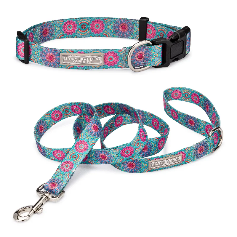 High-pitched dog training whistle-Clara Dog Collar and Leash Wholesale