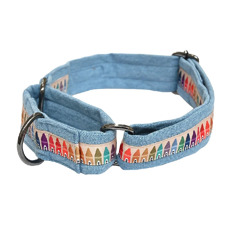 Odor-eliminating pet mist-Cool School Martingale Denim Collar