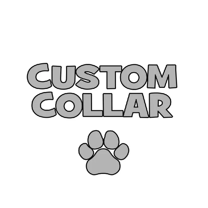 Airtight pet treat container-Custom Dog Collar