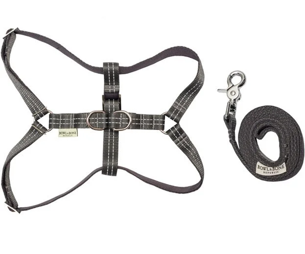 Raised cat food dish-Dog harness & lead set (Grey)