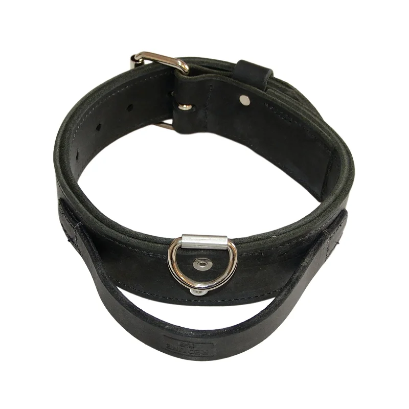 Rotating puppy treat toy-Double Leather Collar With Handle - 2" Wide