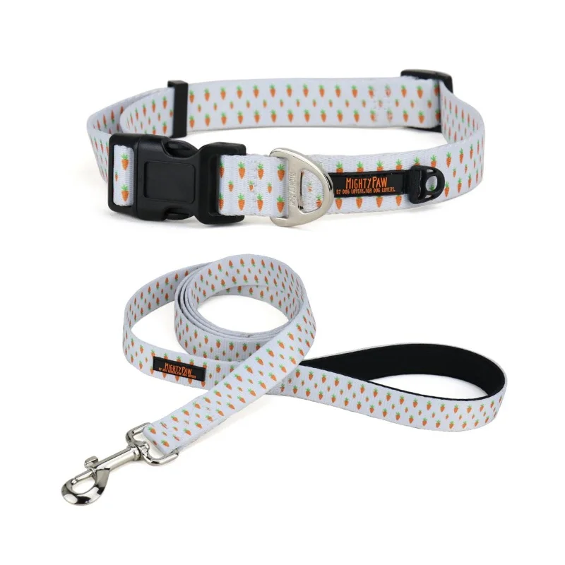 Polished ceramic pet bowl-Festive Easter Dog Collar & Leash Set with Durable D-Ring