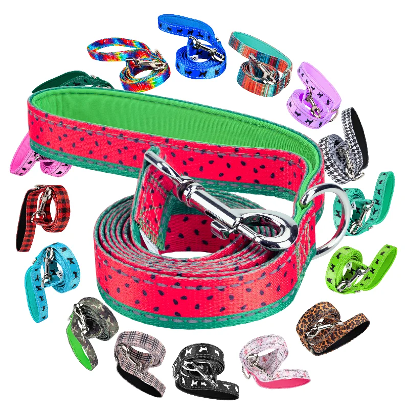 Long-lasting pet tie-out-EcoBark Watermelon Dog Leash- Padded Comfort Grip Leash - 4ft, 5ft, and 6ft Leash for Small and Medium Dogs