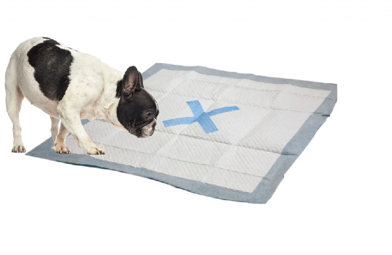 Colored aquarium sand-Ethical Pet X Marks the Spot  Puppy Pad