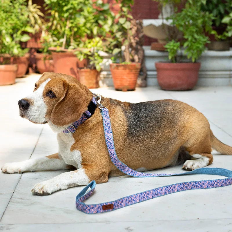 Antibacterial paw cleaner-Geometrical Denim Collar + Leash Set