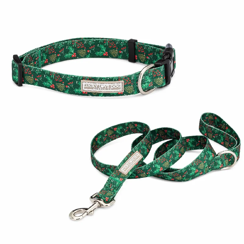 Quiet pet training whistle-Holly Dog Collar and Leash Wholesale