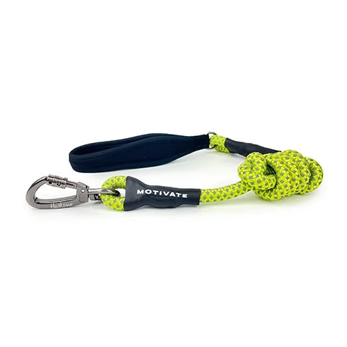 Eco-friendly pet chew set-HUSKIMO MOTIVATE LEAD