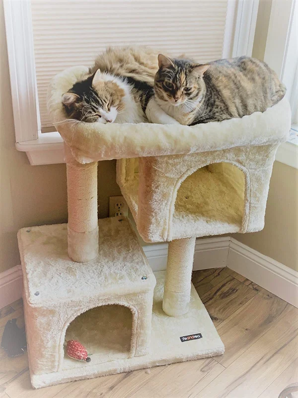 Quick-dry pet bath towel-Cat Tree for Large Cats, 2 Cozy Plush Condos and Sisal Posts