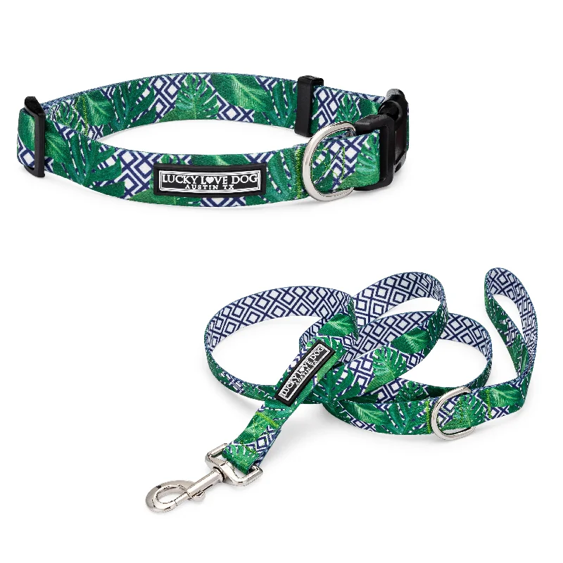 Double-clip pet leash-Laguna Blue Dog Collar and Leash Wholesale