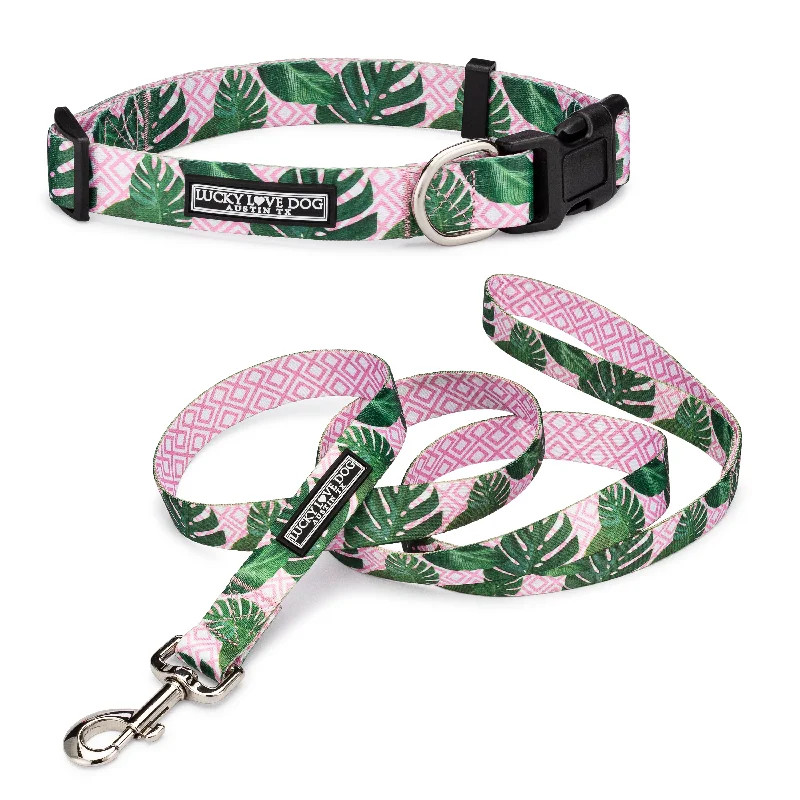 Herbal pet ear wash-Laguna Pink Dog Collar and Leash Wholesale