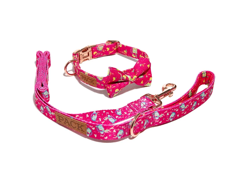 Pet-safe floor polish-Lemonade Leash + Bowtie Collar