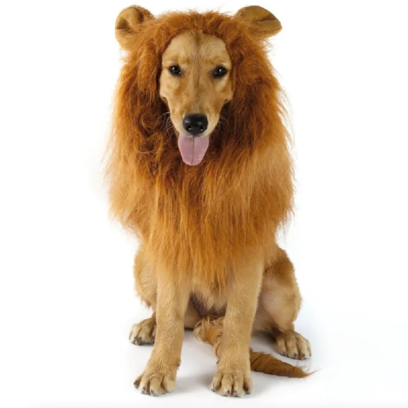 Flexible pet agility hoop-Lion Theme Dog Wig