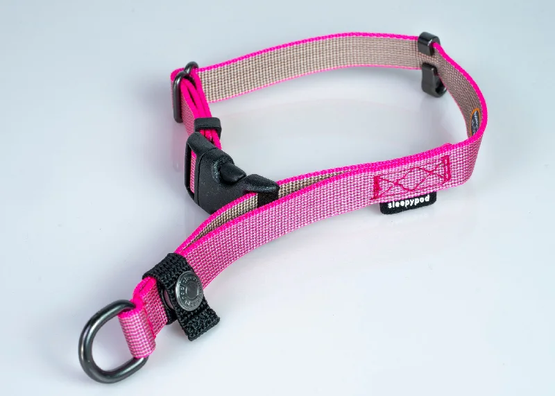 Mint-scented pet spray-Locking Martingale Collar