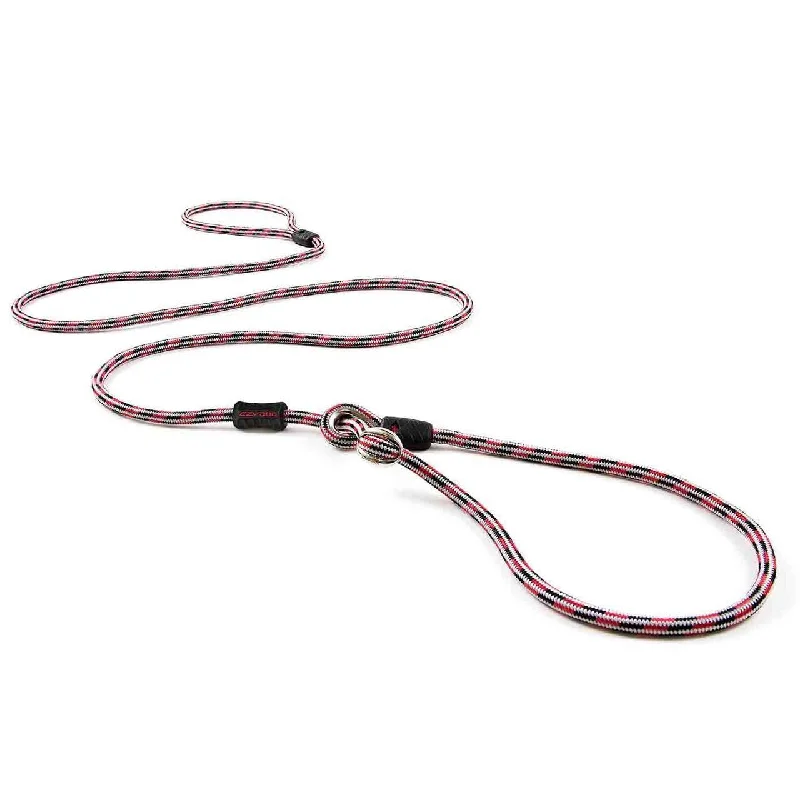 Stretchy guinea pig leash-Luca Leash Collar & Leash Combo