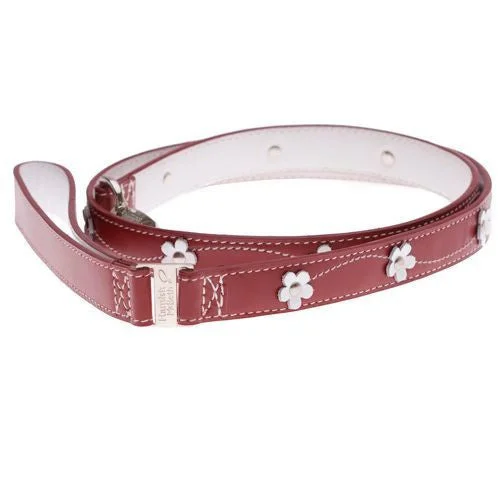 Tough rubber chew ring-Lucy Red Dog Lead