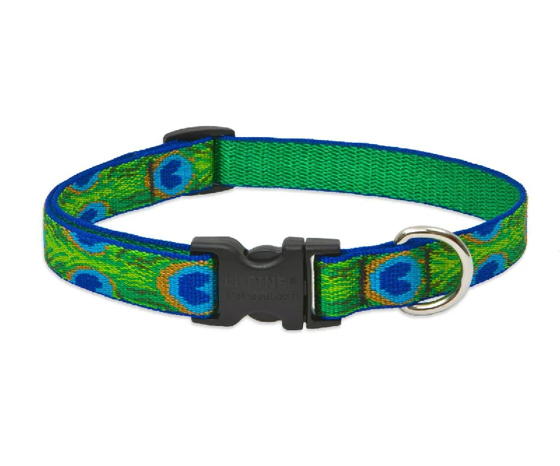 Long-lasting pet tie-out-Lupine 32634 Originals Adjustable Collar for Small Dogs, Tail Feathers, 1/2" x 8-12"