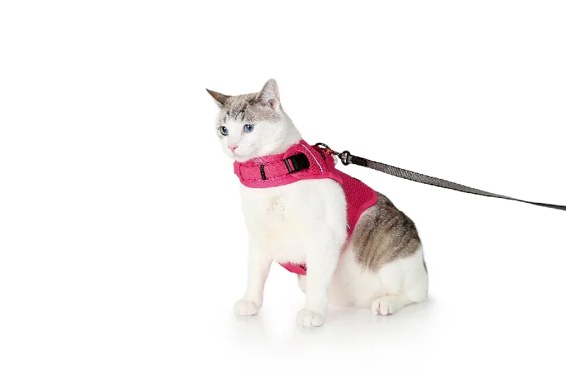 Herbal pet skin lotion-Martingale Calming Harness for cats