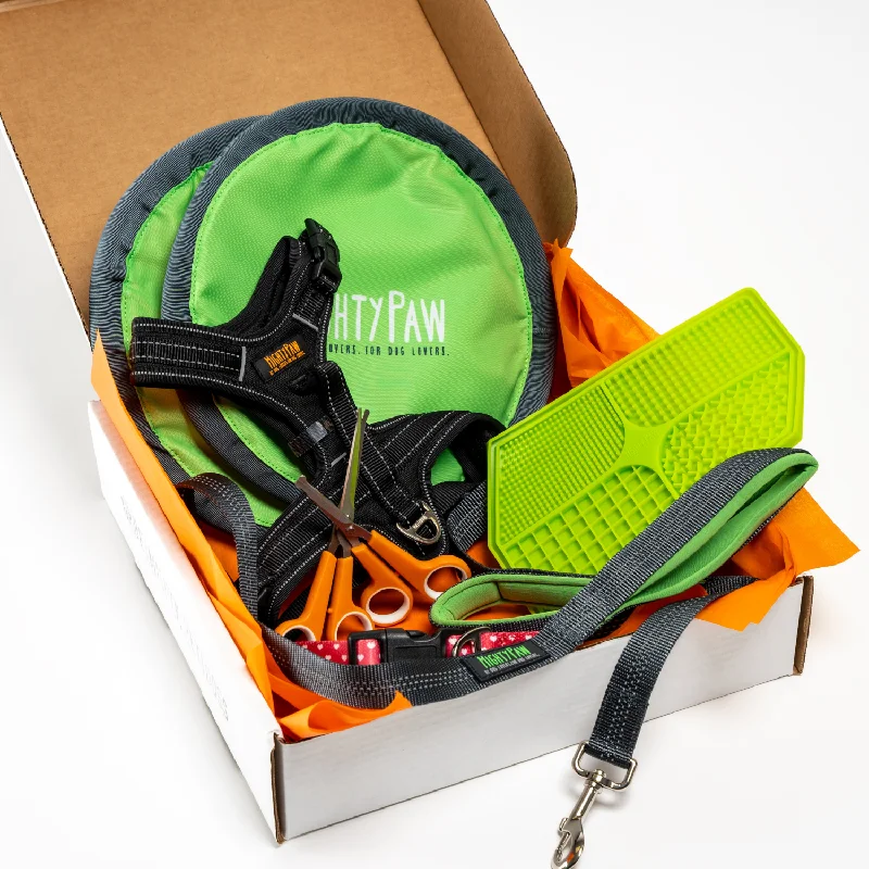 Pet-safe surface cleaner-Mighty Paw Mystery Box: Collar, Harness, Leash & More for $30