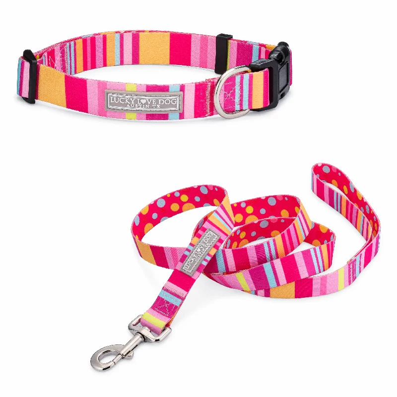 Spacious rabbit enclosure-Molly Dog Collar and Leash Wholesale