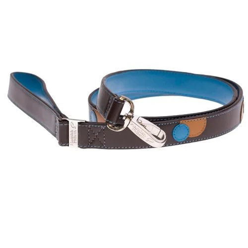 Spacious rabbit enclosure-Monty Brown/Turquoise Dog Lead