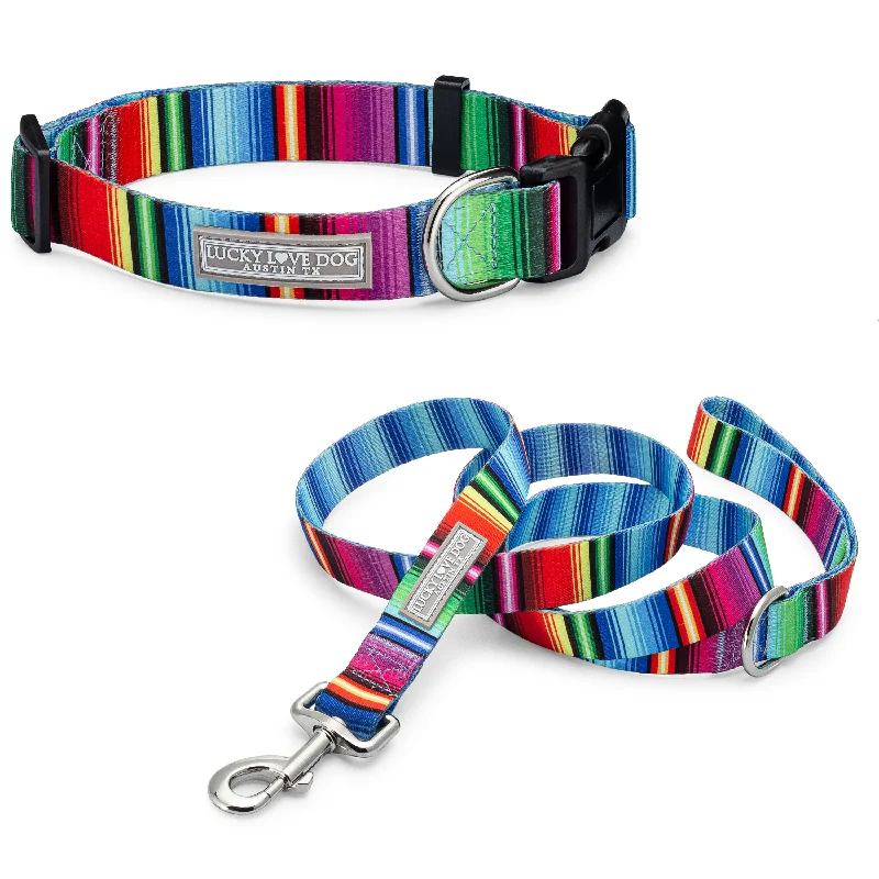 Compact bird travel perch-Nacho Dog Collar and Leash Wholesale