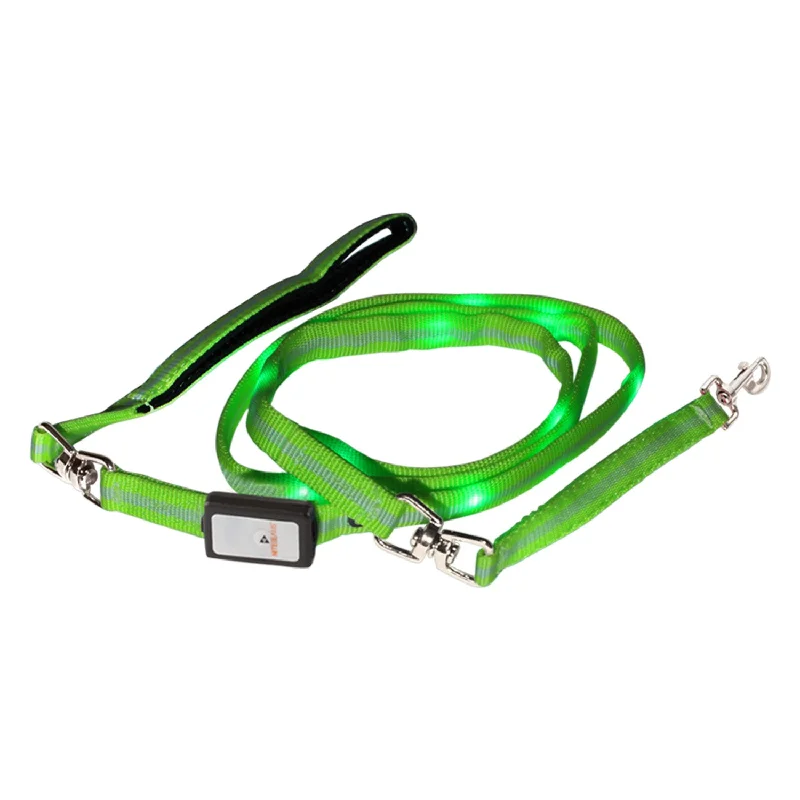 Glow-in-dark pet collar-Nite Beams LED Lighted Dog Leash