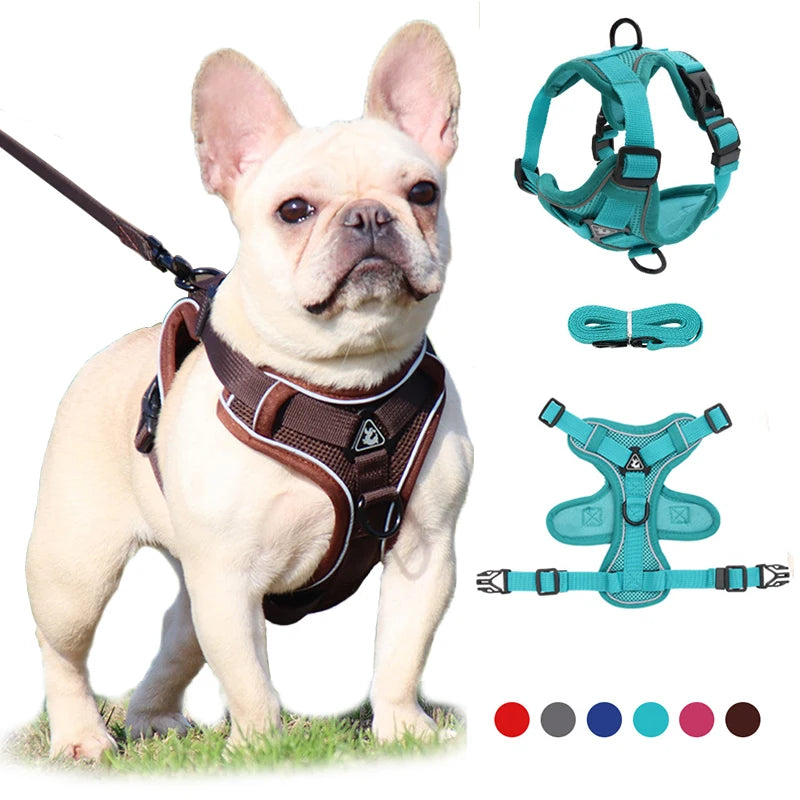 Plush catnip play fish-Dog Adjustable Harness Leash Set