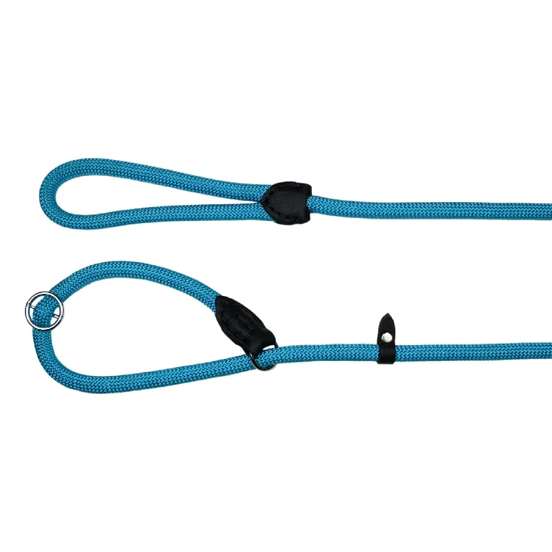 Blue Slip Leash