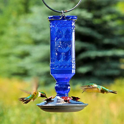 Sturdy pet access ramp-Perky-Pet® Cobalt Blue Antique Bottle Glass Hummingbird Feeder