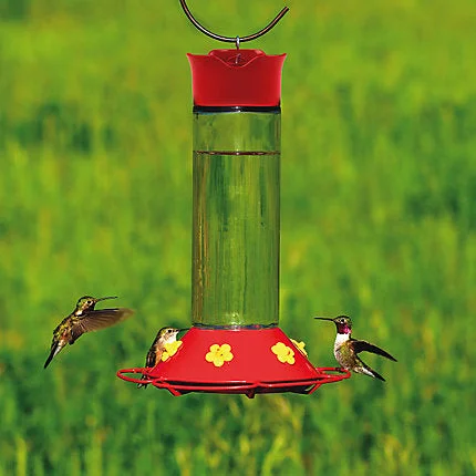 Treat-hiding dog toy-Perky-Pet® Glass Hummingbird Feeder