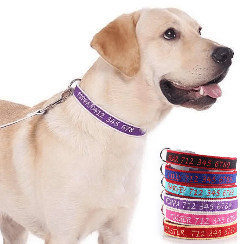 Rolling dog treat ball-Embroidered Organic Bamboo - Personalised Dog Collar: CHOICE of METAL or PLASTIC BUCKLE