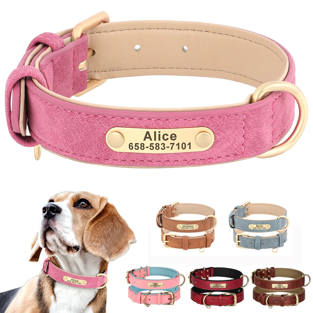 Elastic rabbit walking leash-Dog Nameplate Leather Collar