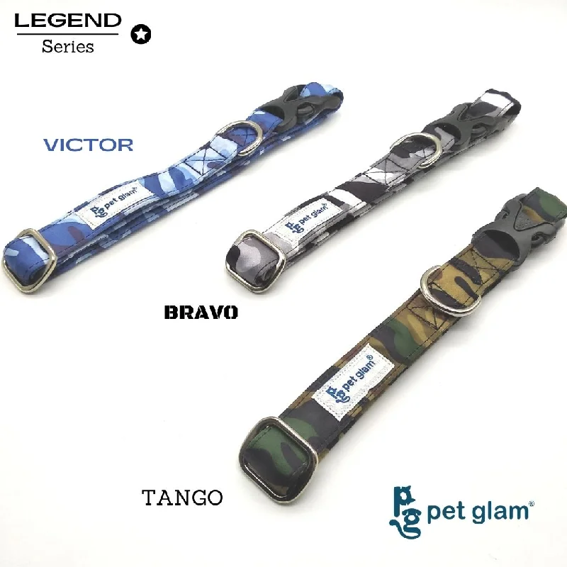 Adjustable bird swing perch-Pet Glam-Bravo-Dog Collar for Small-Medium Large Dogs