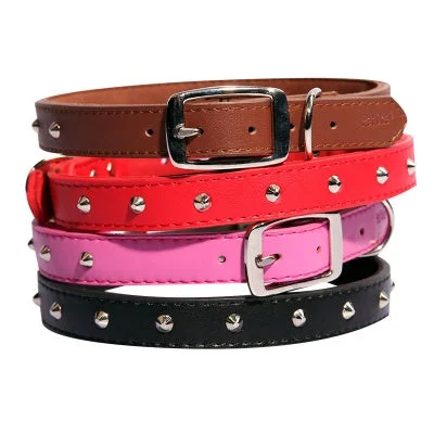 Neon puppy walking harness-Pet One Leather Studded Collar