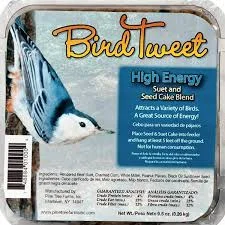 Mint-flavored pet toothpaste-Pine Tree Farms Bird Tweet Suet Hi Energy, 10-Pack