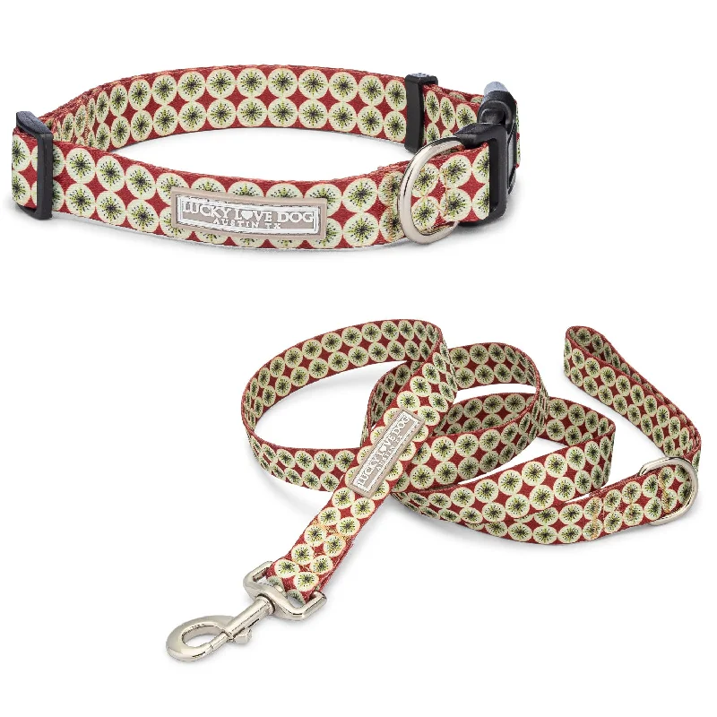 Herbal dog ear solution-Pongo Dog Collar