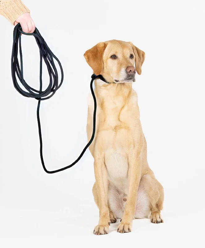 Portable pet water flask-Ragnar Long Line Slip Leash