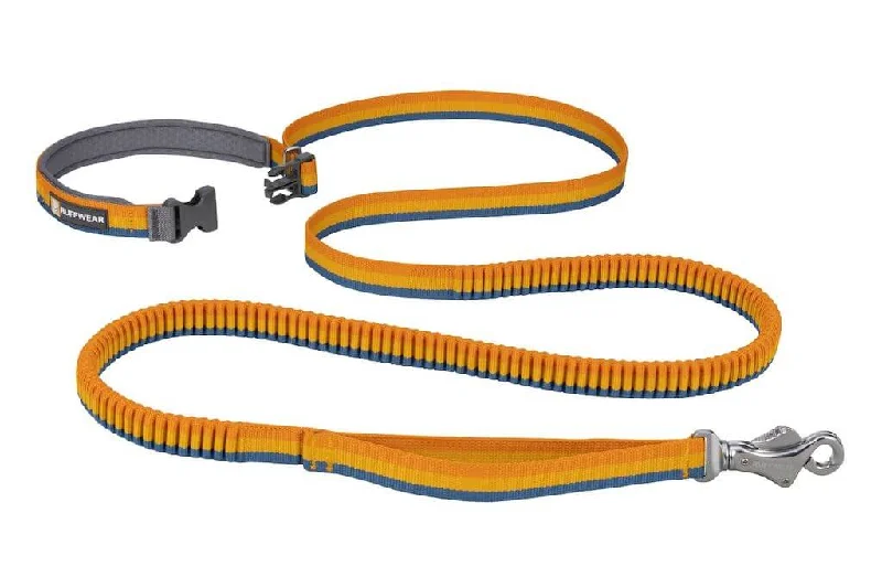 Herbal dog ear solution-Ruffwear Roamer Bungee Dog Leash - Hand-Held or Waist-Worn