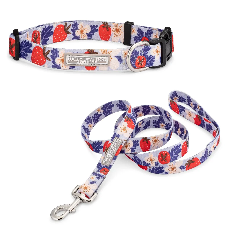 Cooling mesh pet jacket-Sweet Berry Dog Collar and Leash Wholesale